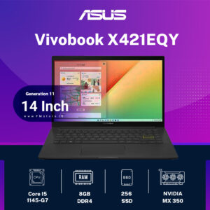 Asus Vivobook X421EQY